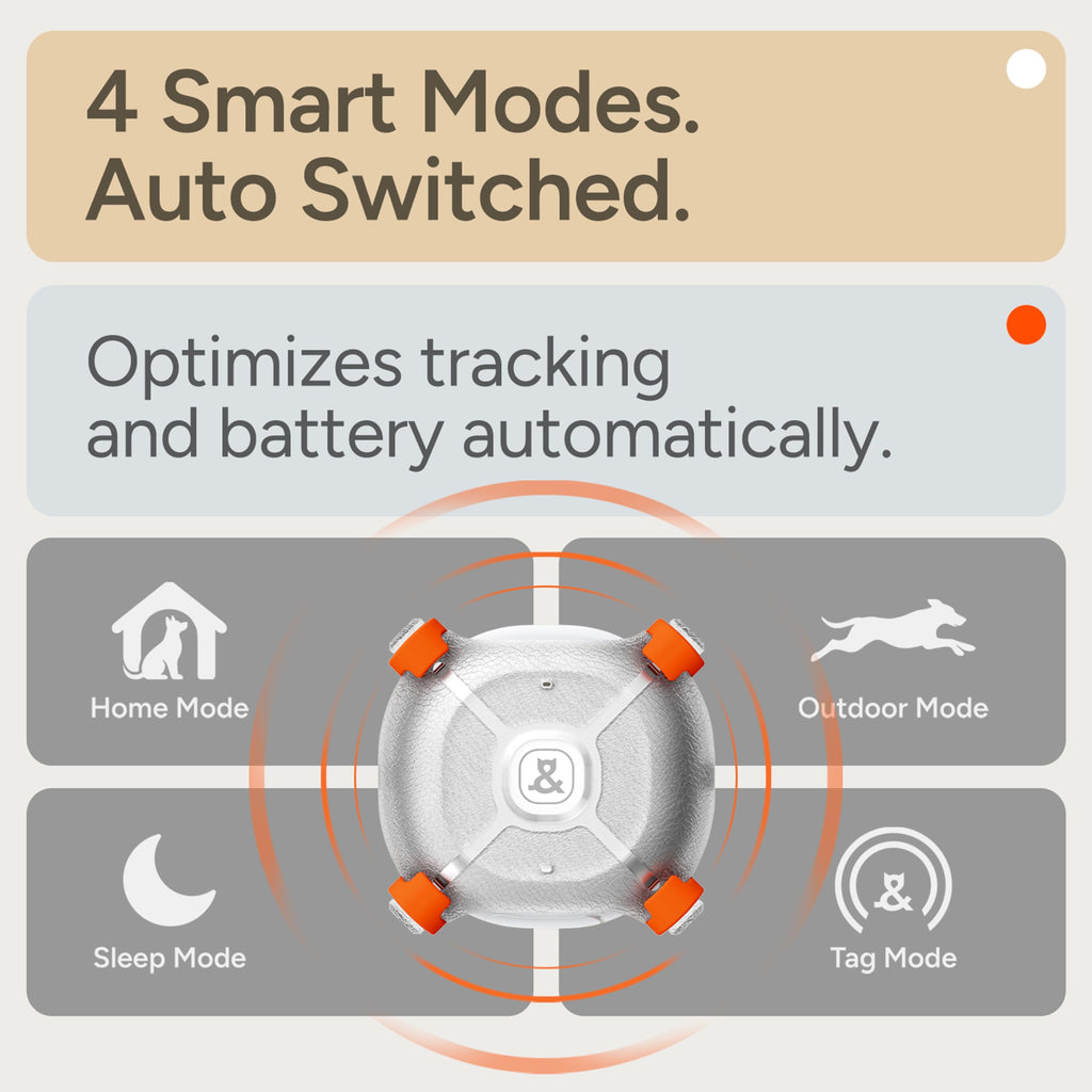 Molly&Cody Pet Tracker for Dogs