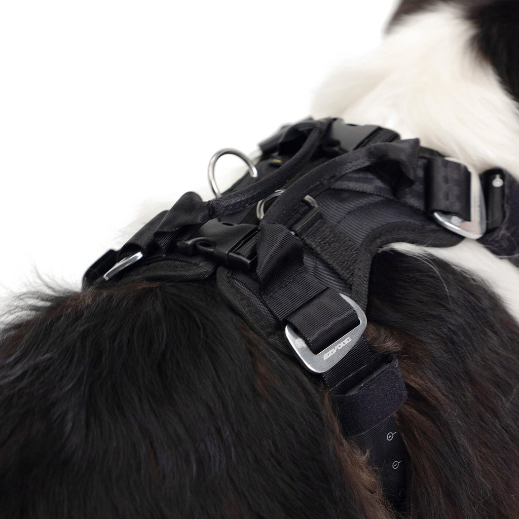 EzyDog Drive Certified Crash-Tested Dog Car Harness