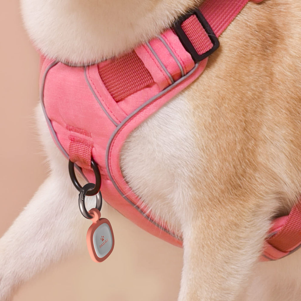 Pawaii QR Code Pet ID Tag All