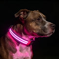 PetIsay Rechargeable Reflective LED Dog Collar