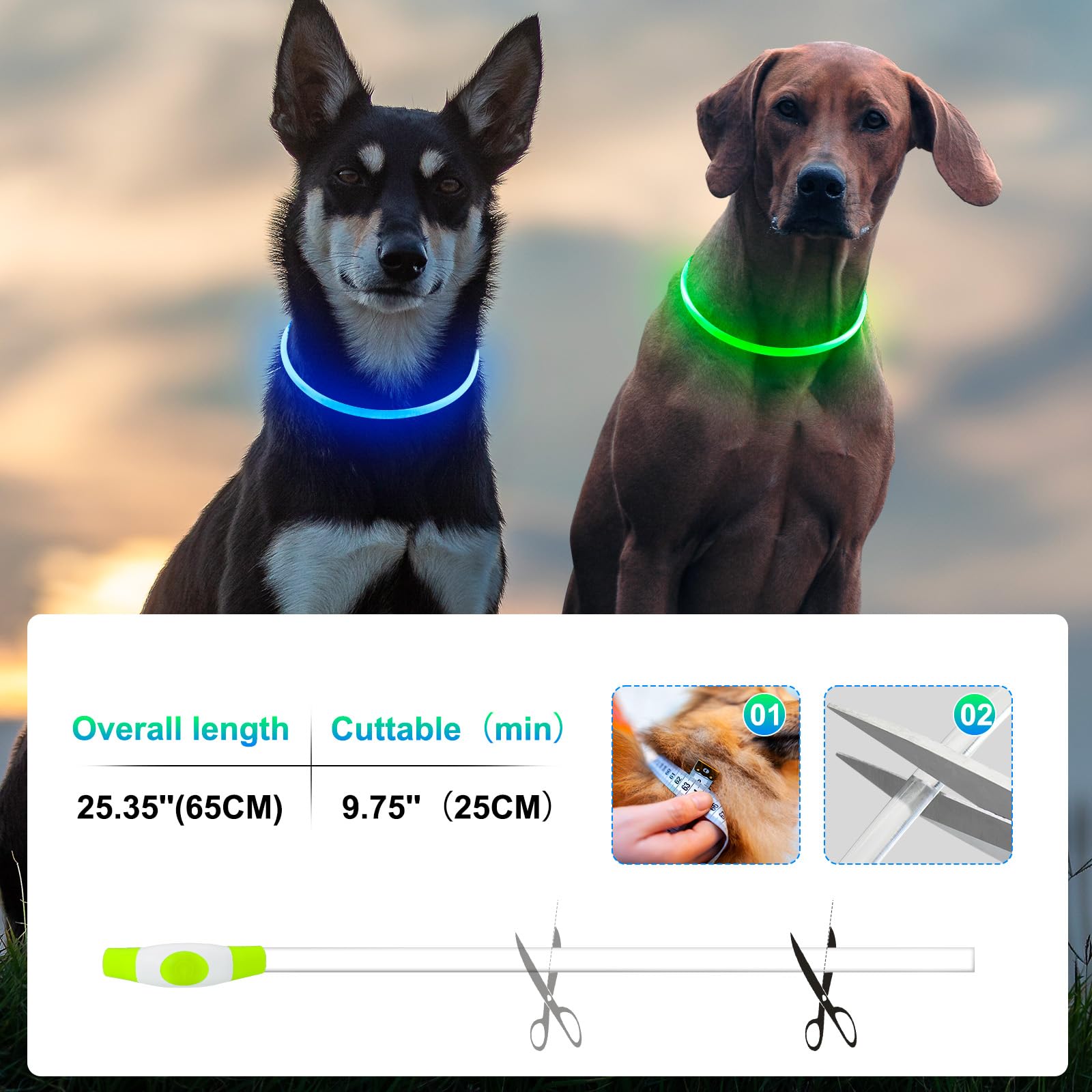 2-Pack High-Visibility LED Safety Collars for Dogs