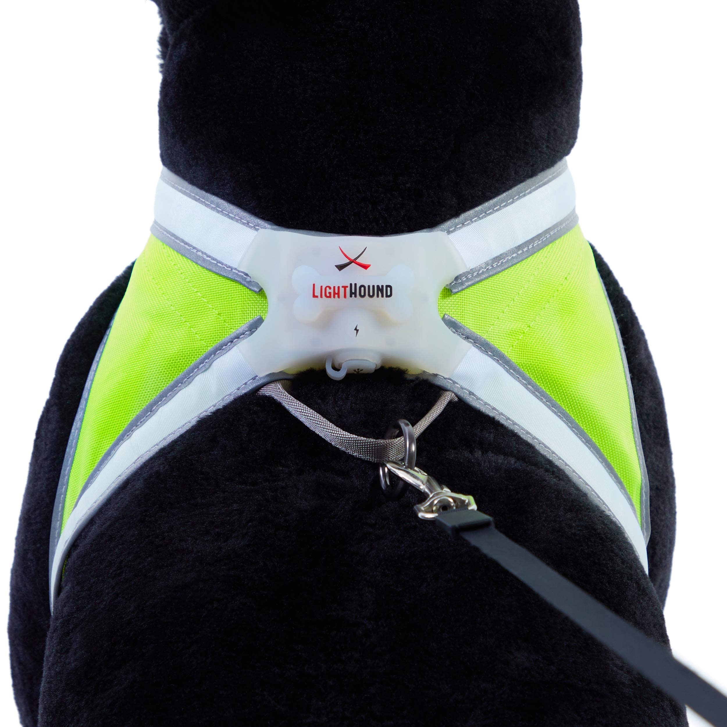 Noxgear LightHound Illuminated Reflective Dog Harness