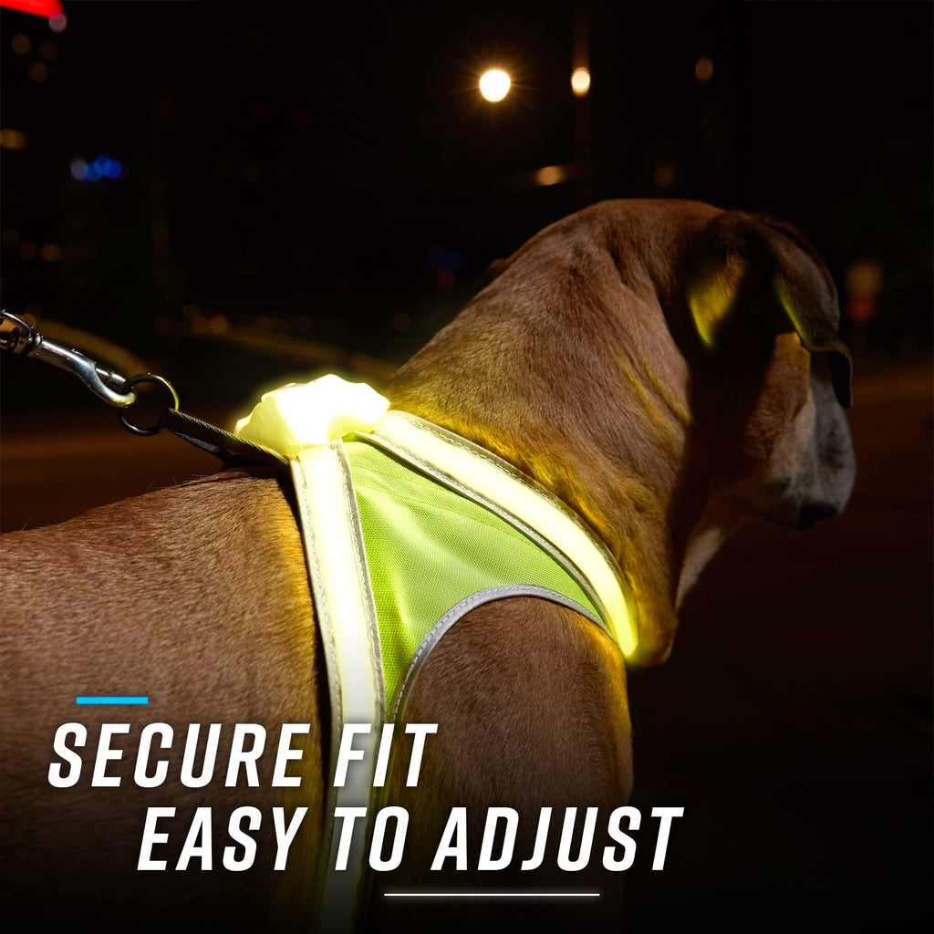 Noxgear LightHound Illuminated Reflective Dog Harness