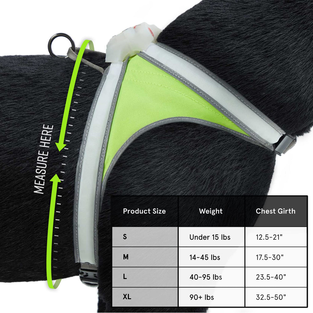 Noxgear LightHound Illuminated Reflective Dog Harness