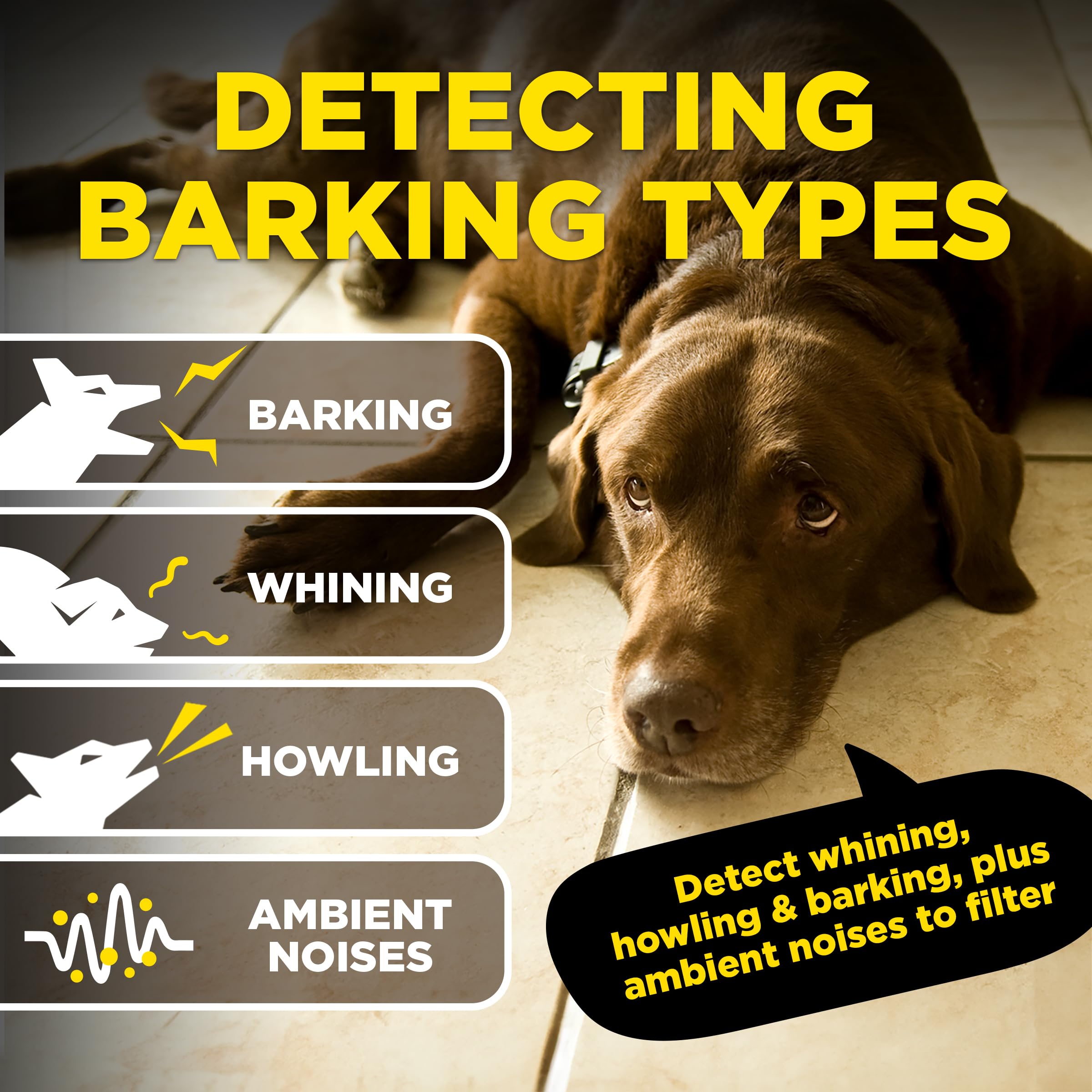Dogtra Smart No-Bark Collar with App Behavior Reports