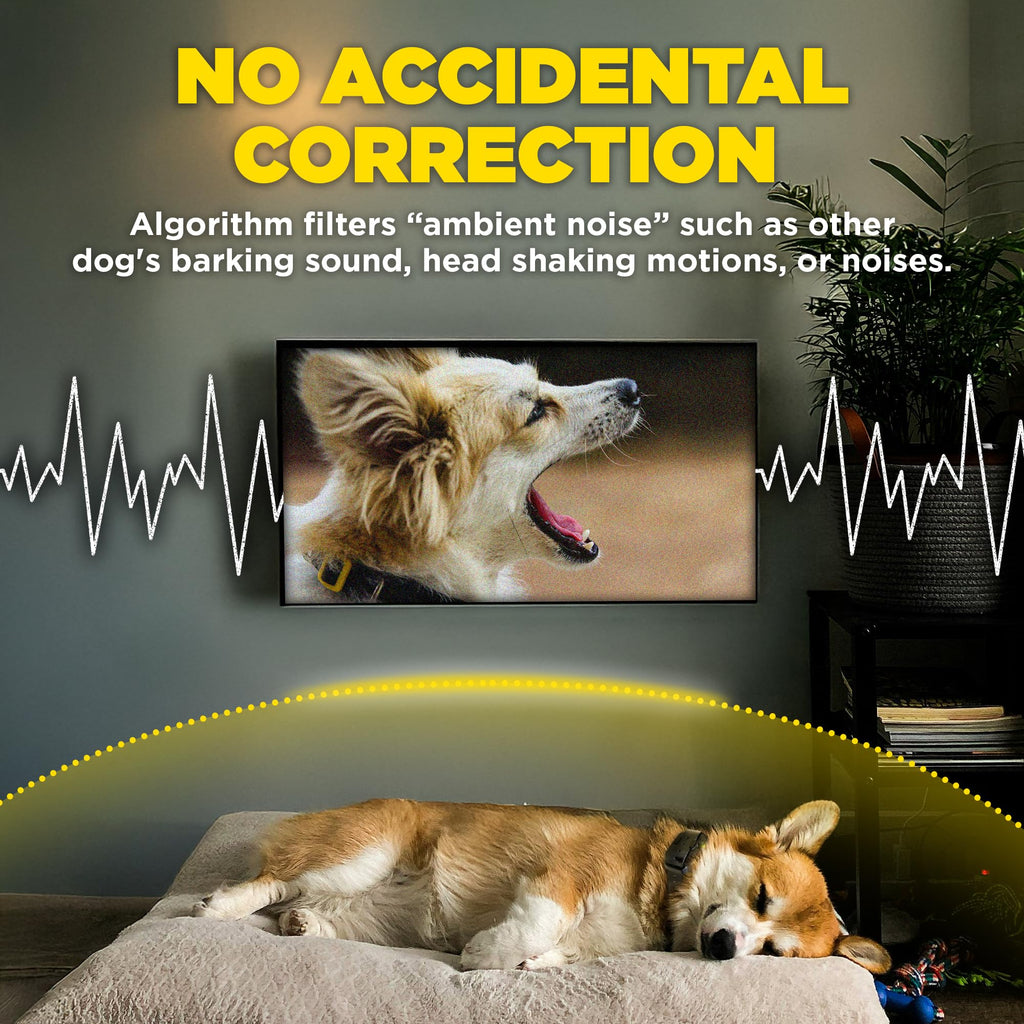 Dogtra Smart No-Bark Collar with App Behavior Reports