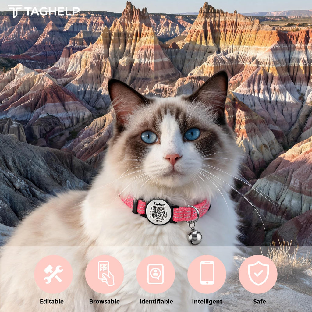 2 Pack cat Collar