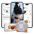 Molly&Cody Pet Tracker for Dogs