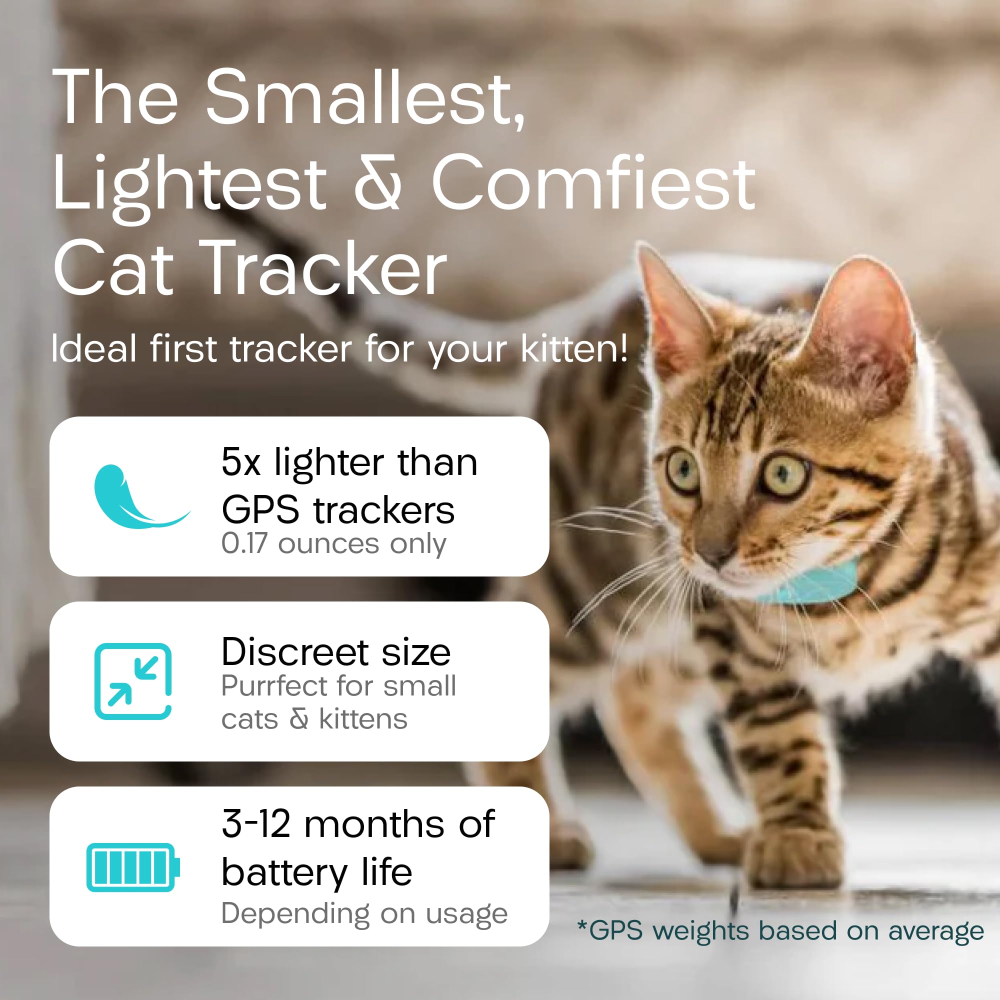 Tabcat V2 Cat Tracker with 2 Lightweight Homing Tags