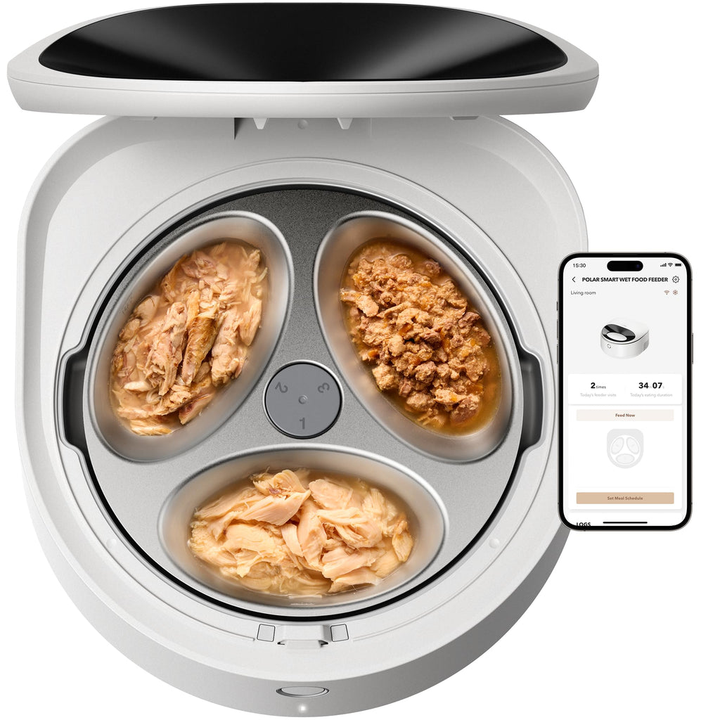 PETLIBRO Automatic Cat Feeder Wet Food with Stainless Steel Bowl, Refrigerated Auto Cat Feeder with Semiconductor Cooling