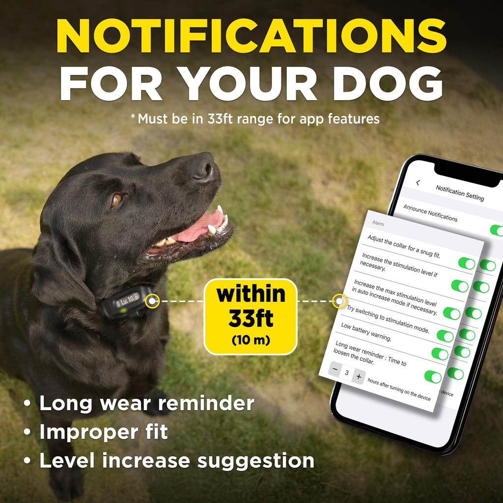 Dogtra Smart No-Bark Collar with App Behavior Reports
