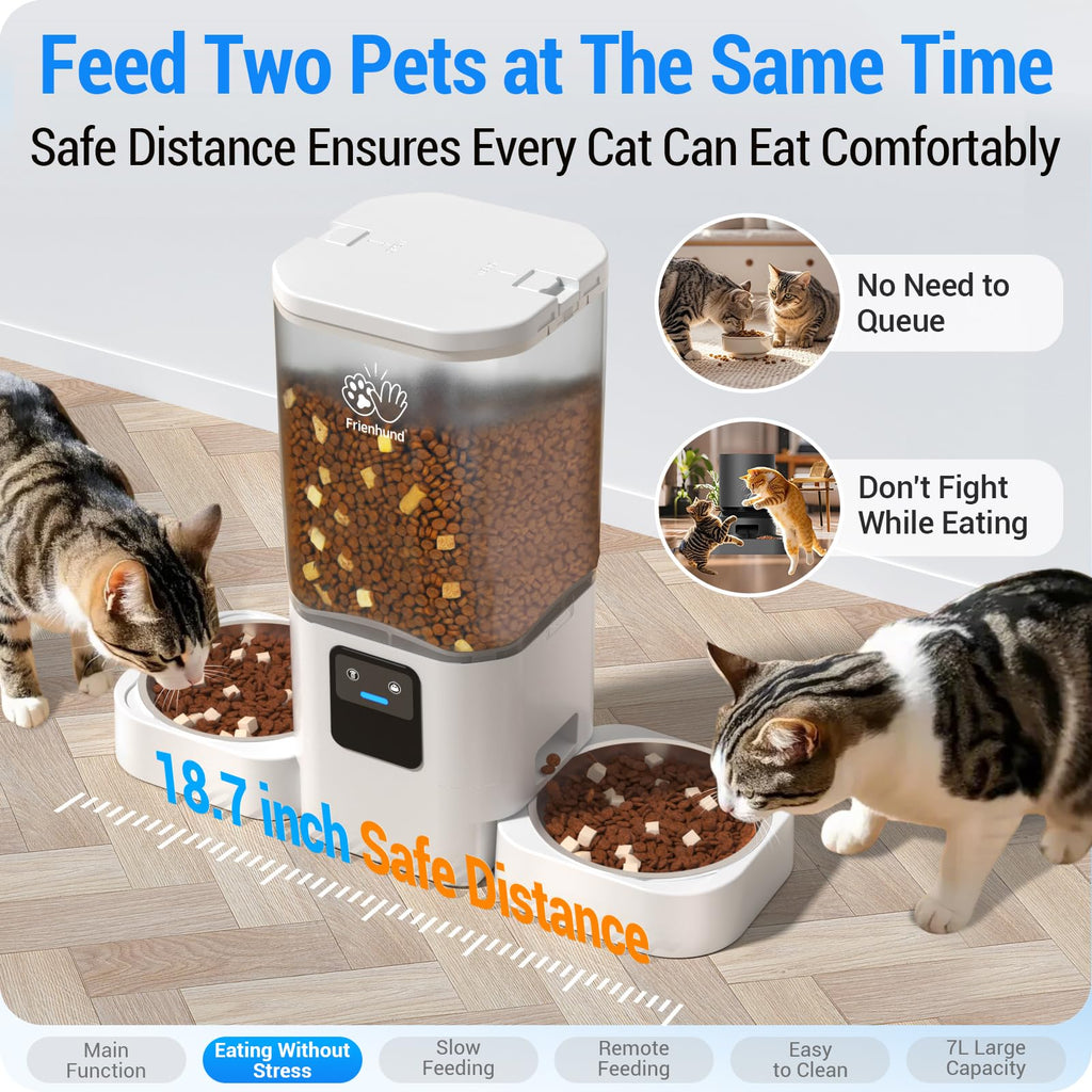 Frienhund Automatic Cat Feeder: Automatic Dog Feeder