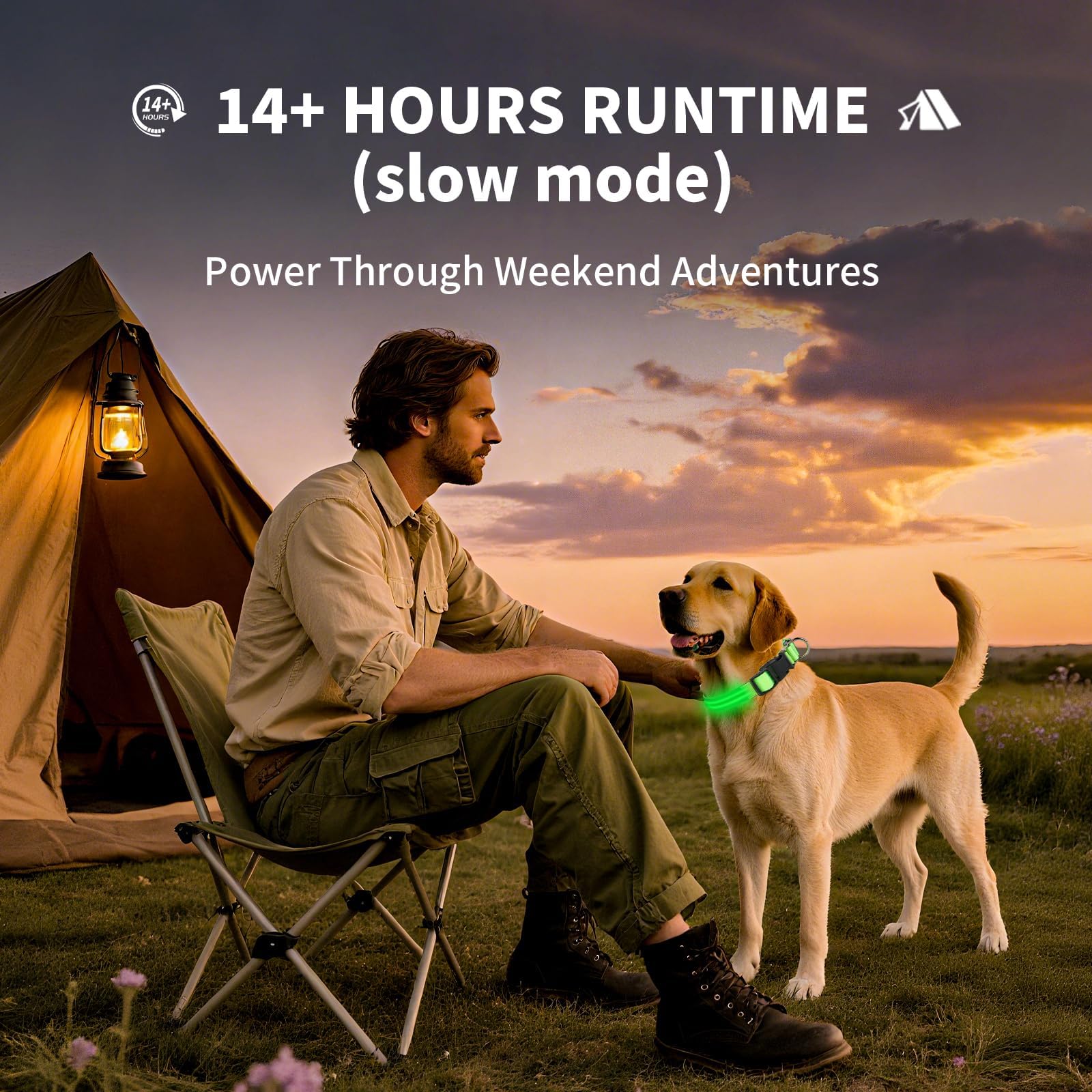 PetIsay Rechargeable Reflective LED Dog Collar