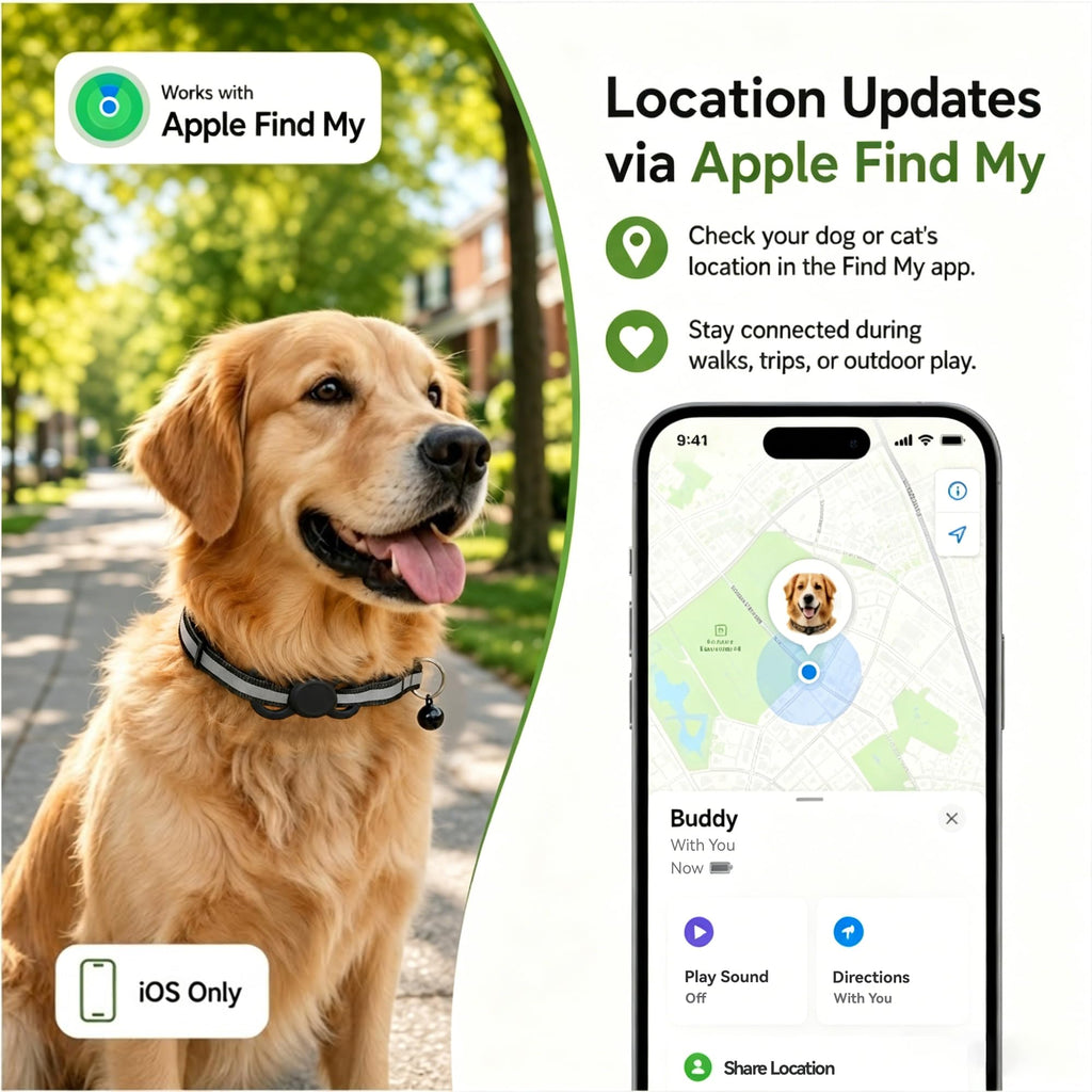 Real-Time GPS Dog Tracker with 365-Day Battery