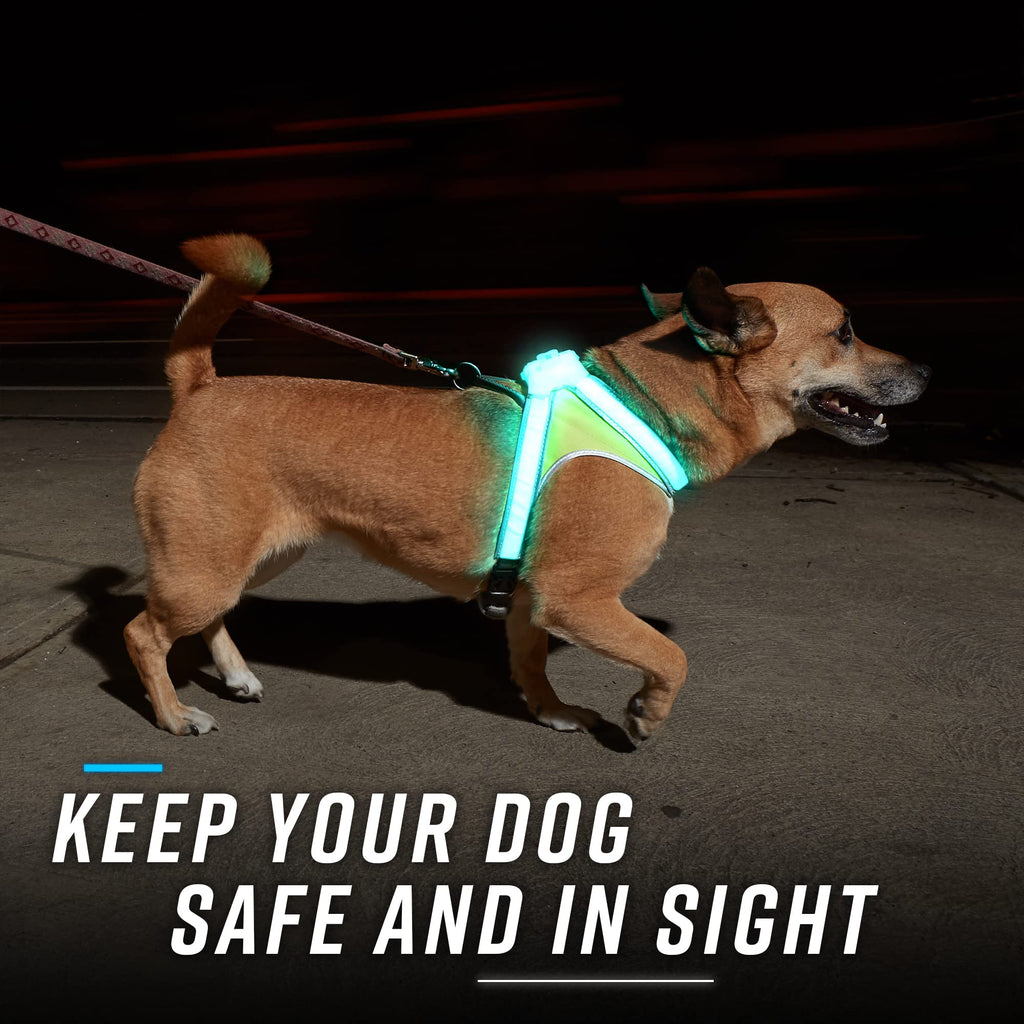 Noxgear LightHound Illuminated Reflective Dog Harness