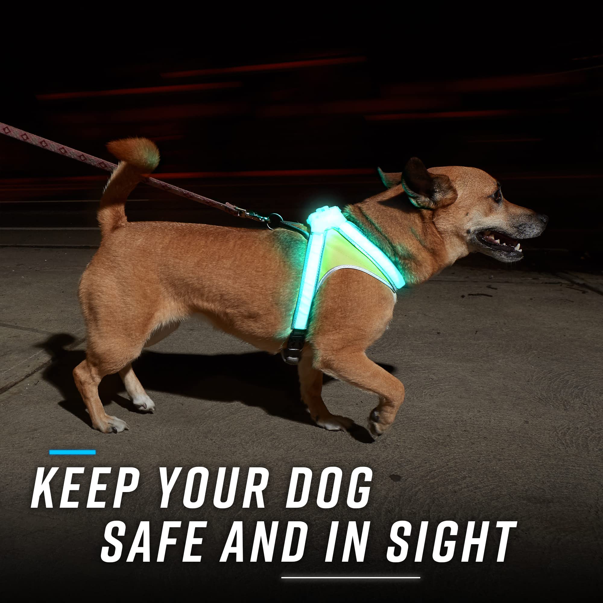 Noxgear LightHound Illuminated Reflective Dog Harness