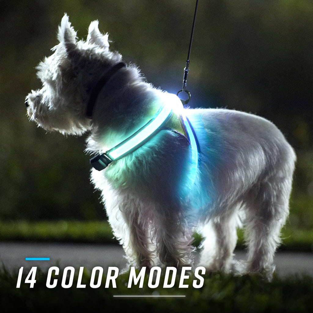 Noxgear LightHound Illuminated Reflective Dog Harness