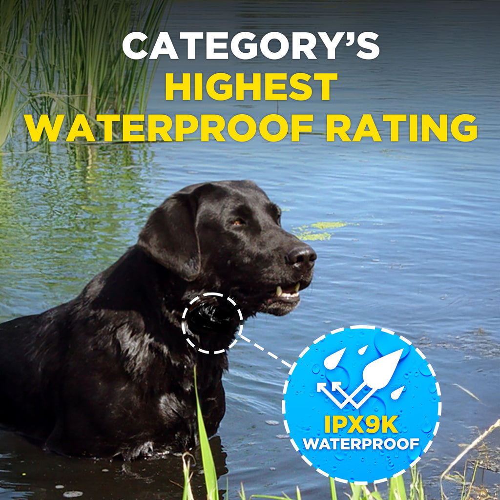 Dogtra Smart No-Bark Collar with App Behavior Reports