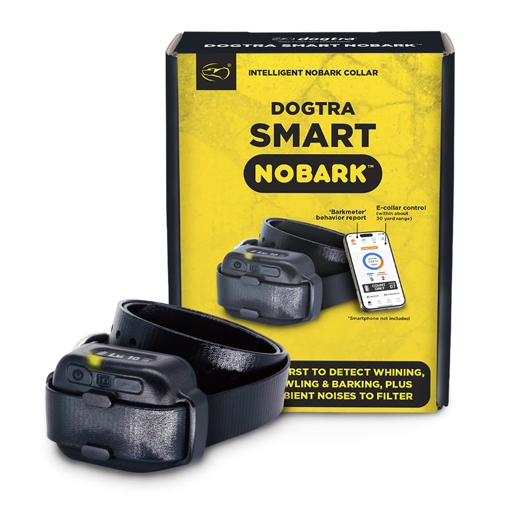 Dogtra Smart No-Bark Collar with App Behavior Reports