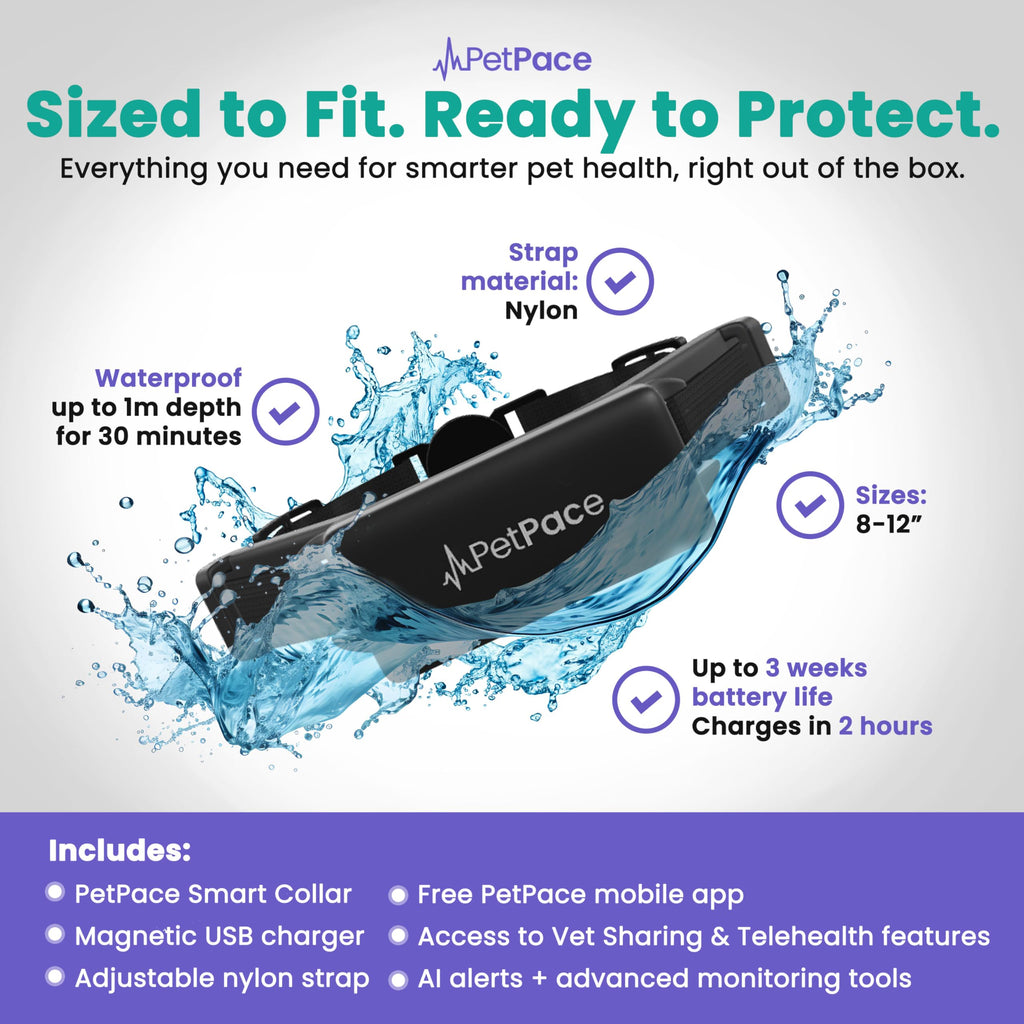 PetPace V3.0 AI Cat Health and Vital Signs Collar