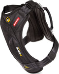 EzyDog Drive Certified Crash-Tested Dog Car Harness