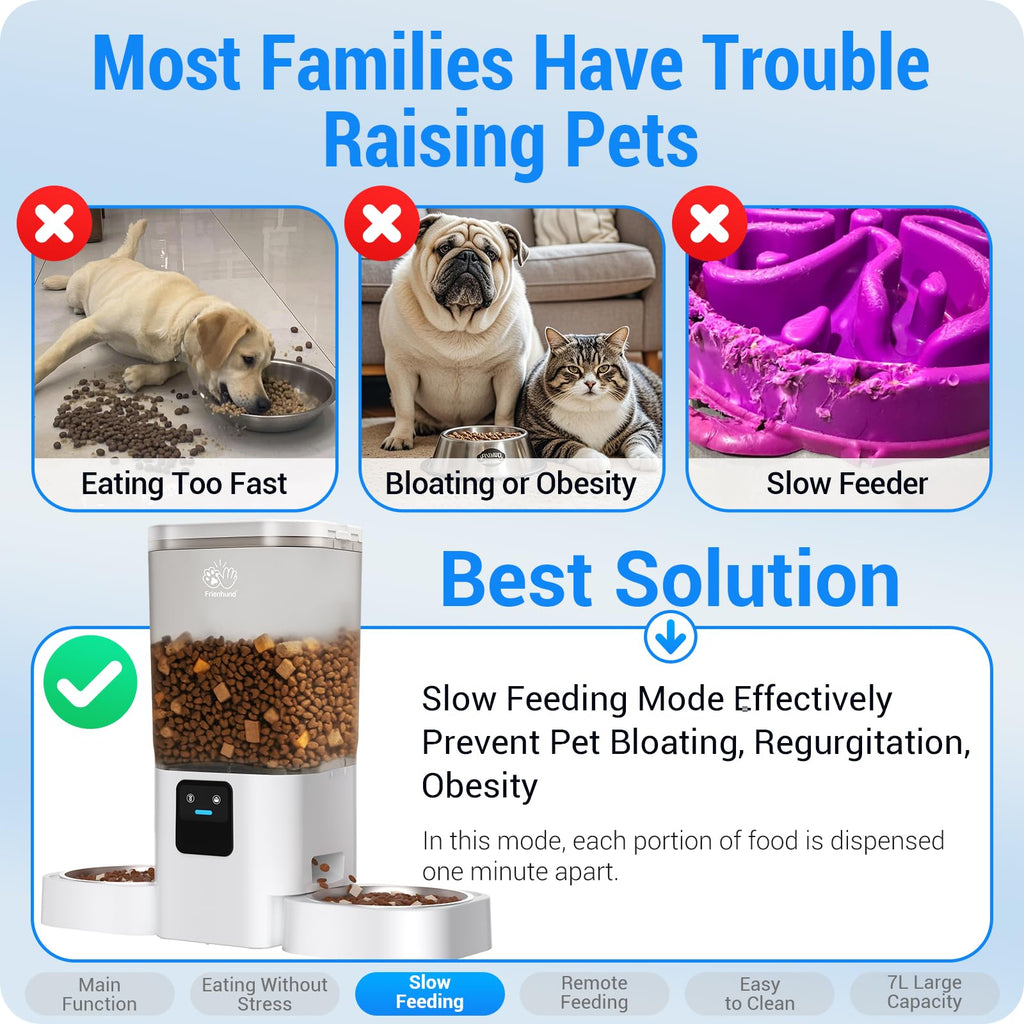 Frienhund Automatic Cat Feeder: Automatic Dog Feeder