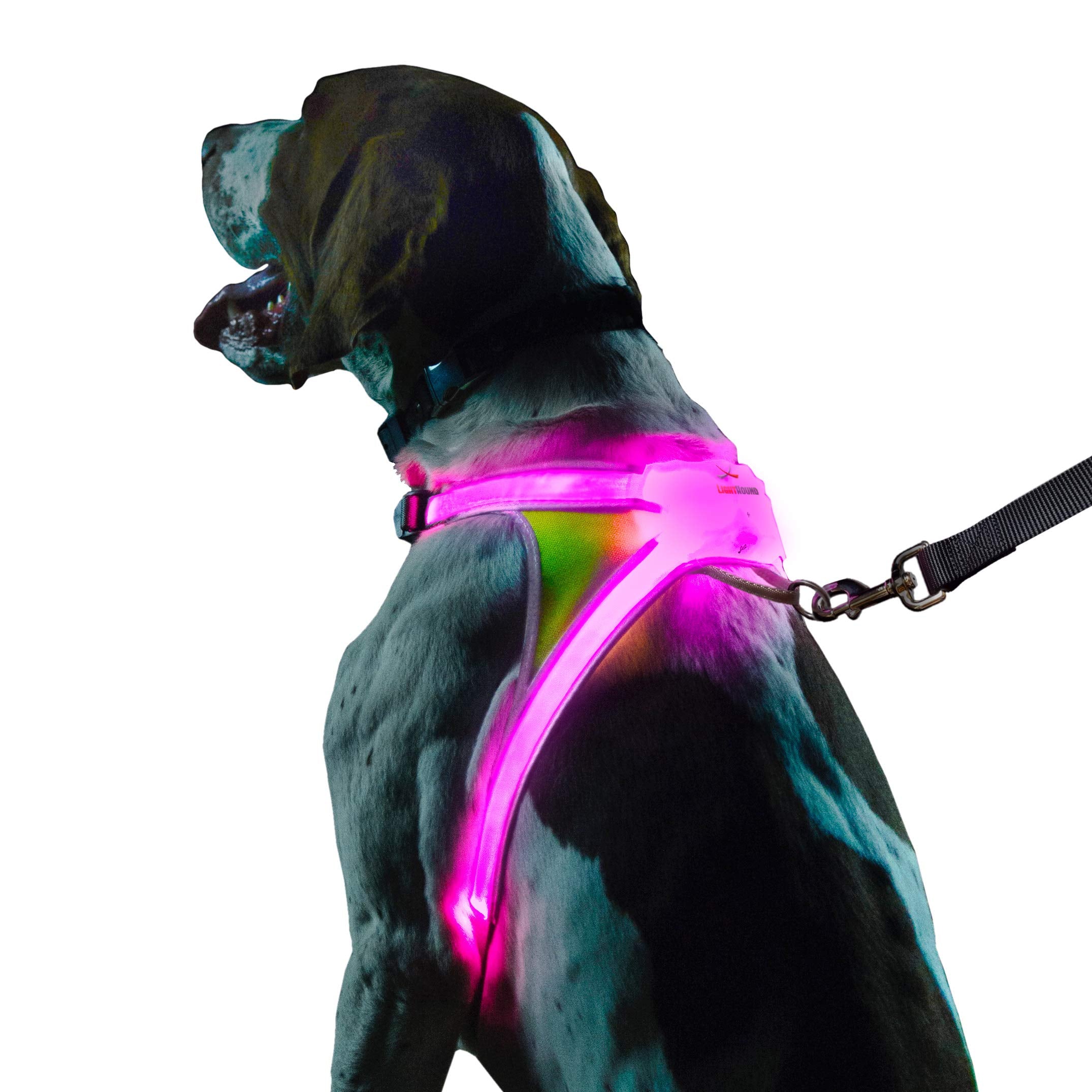 Noxgear LightHound Illuminated Reflective Dog Harness