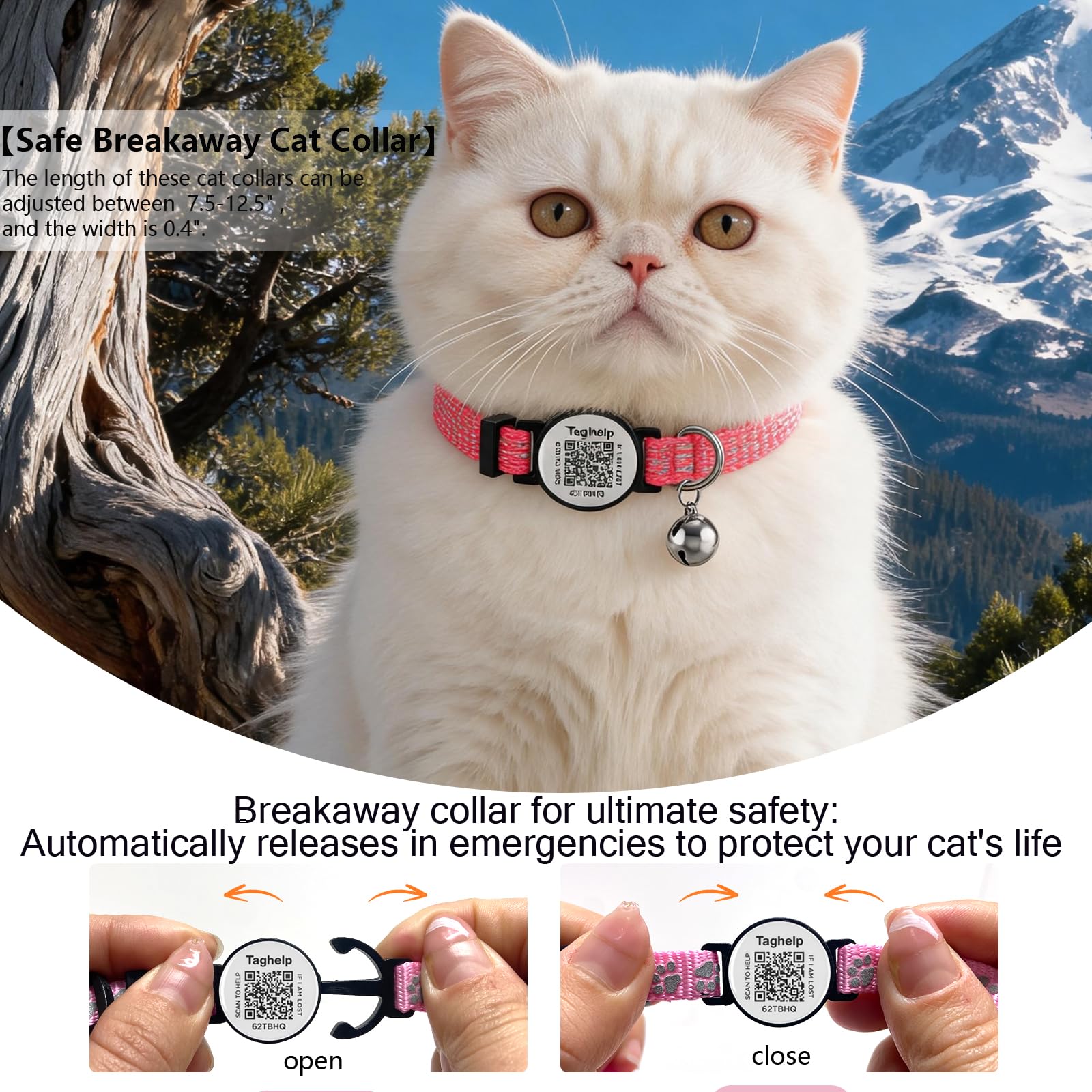 2 Pack cat Collar