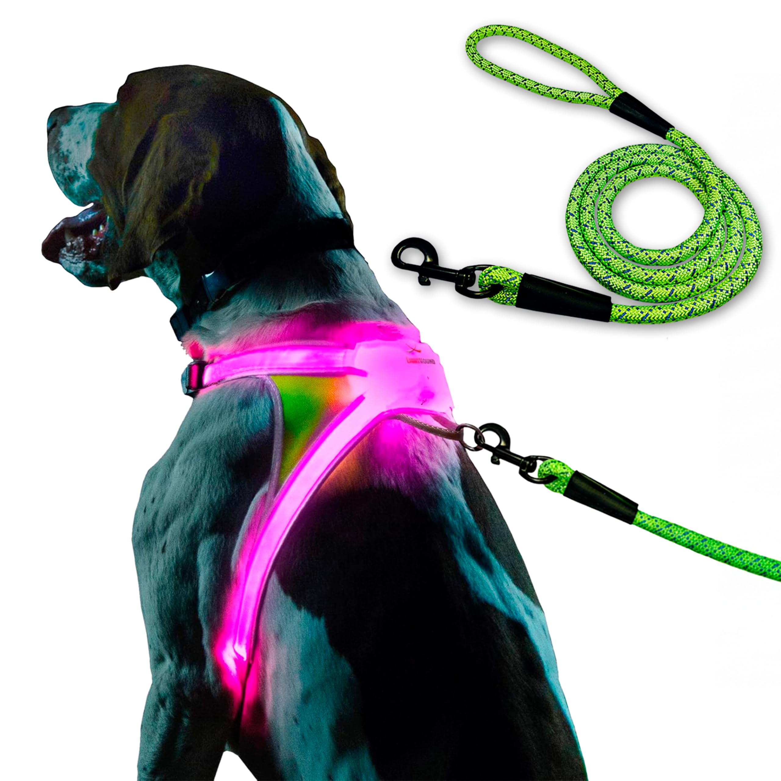 Noxgear LightHound Illuminated Reflective Dog Harness