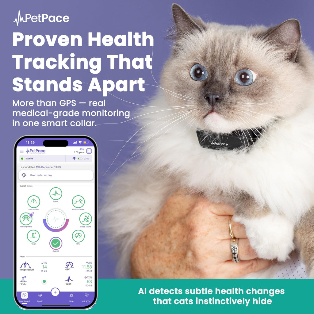 PetPace V3.0 AI Cat Health and Vital Signs Collar
