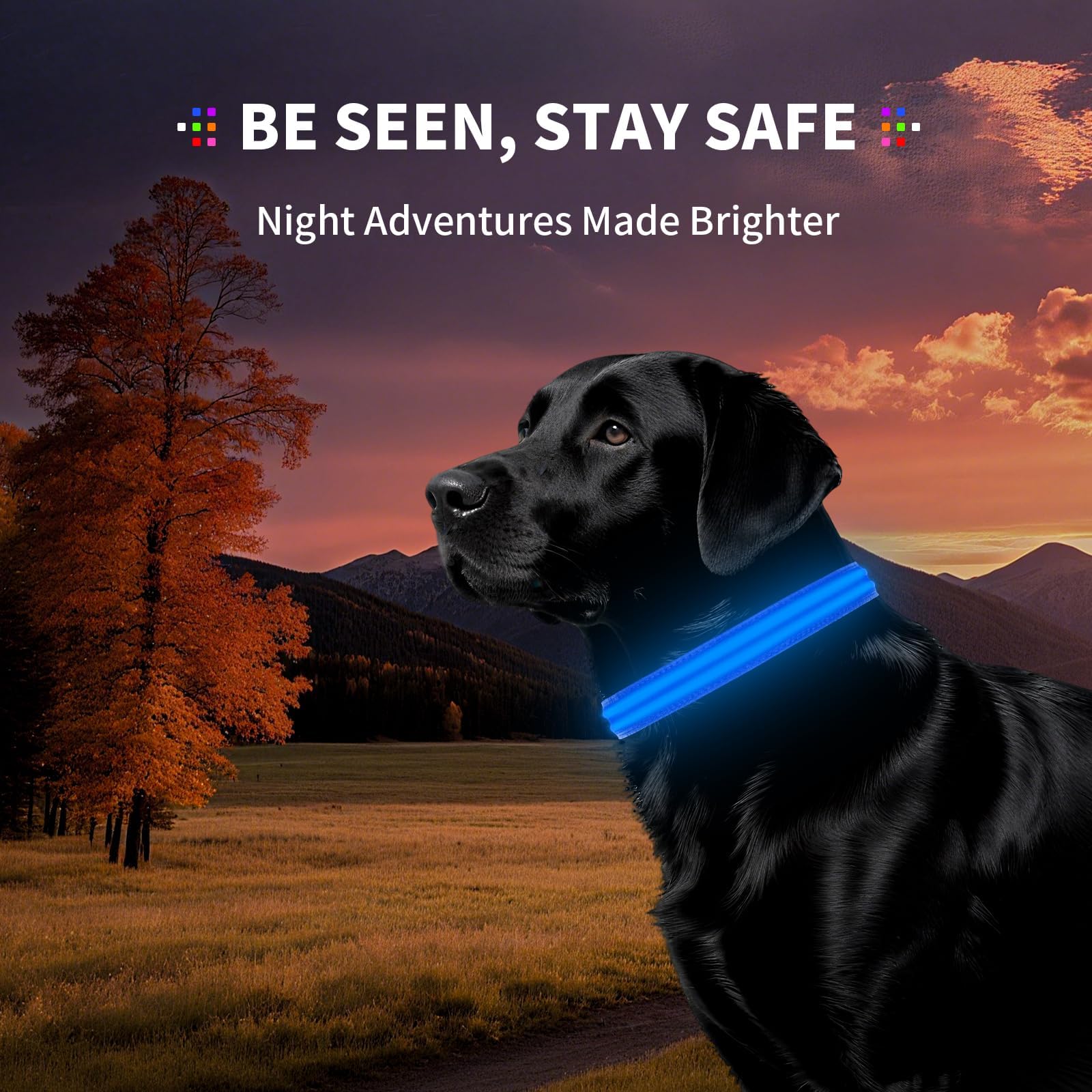 PetIsay Rechargeable Reflective LED Dog Collar