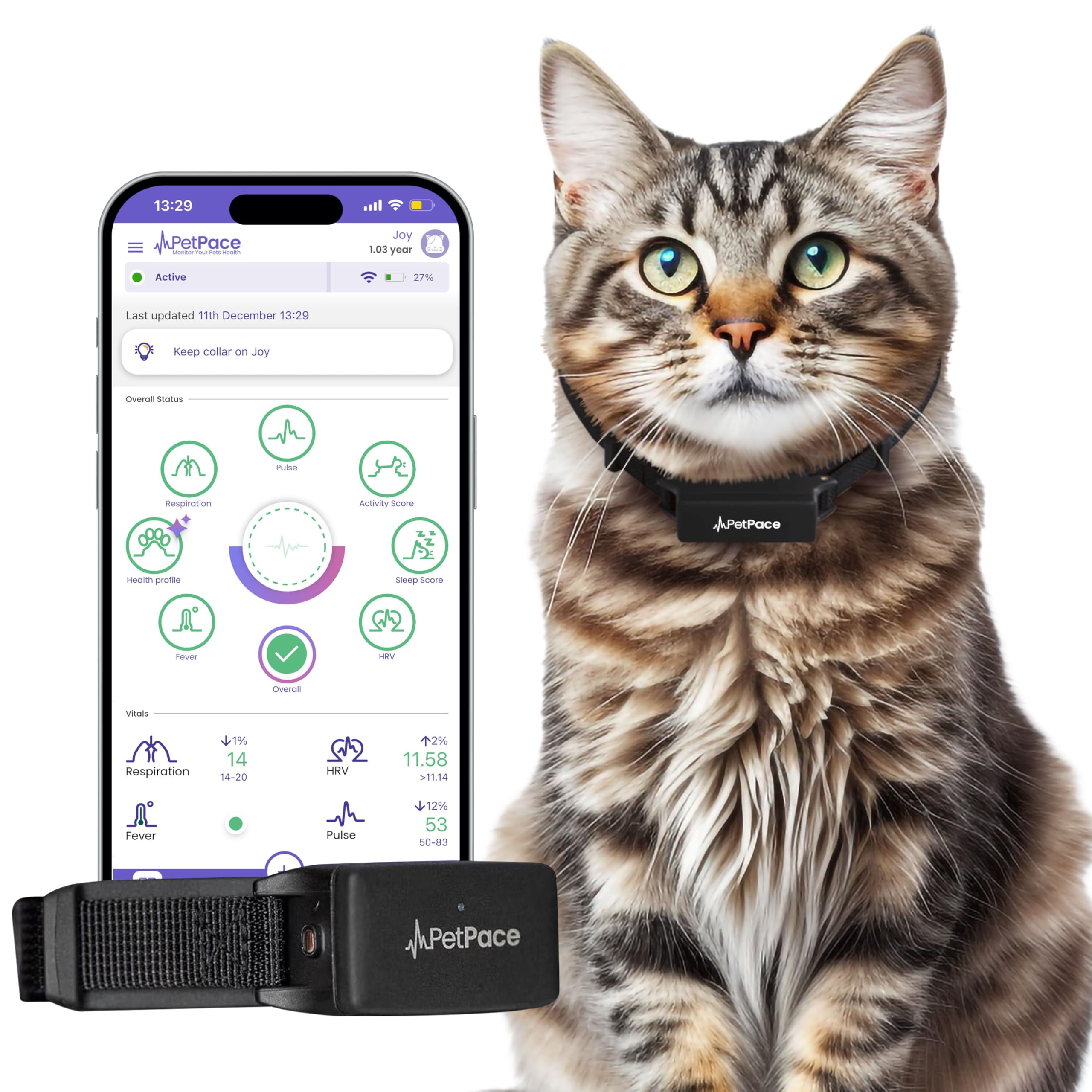 PetPace V3.0 AI Cat Health and Vital Signs Collar