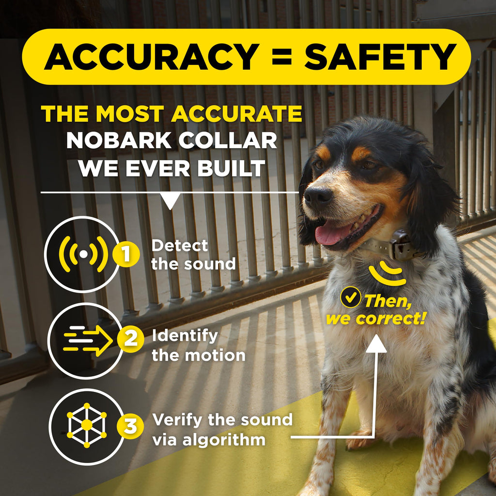 Dogtra Smart No-Bark Collar with App Behavior Reports