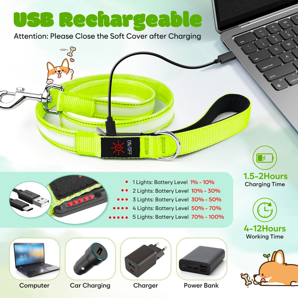 USB-C Rechargeable 13-Mode LED Dog Leash, 4 Feet