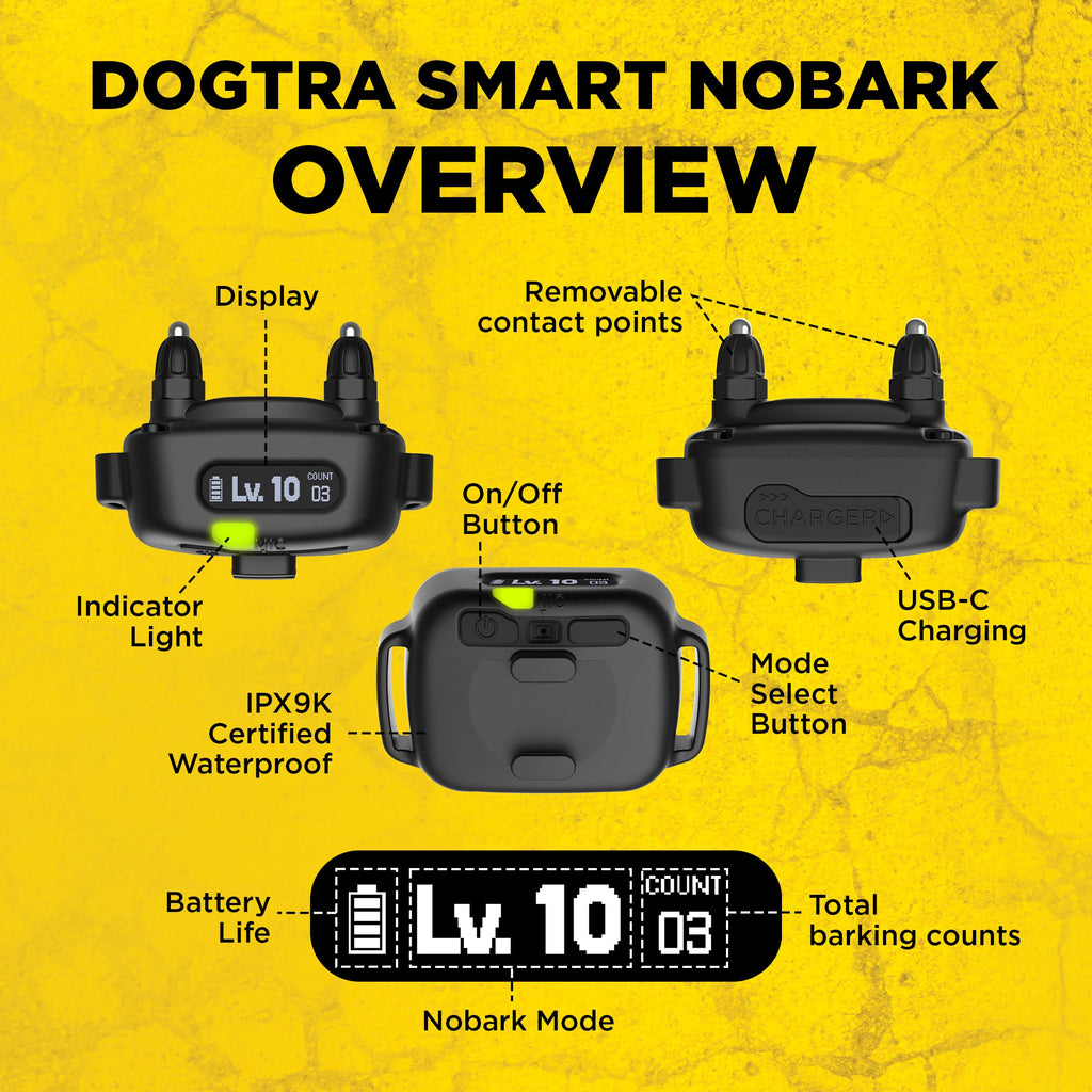 Dogtra Smart No-Bark Collar with App Behavior Reports