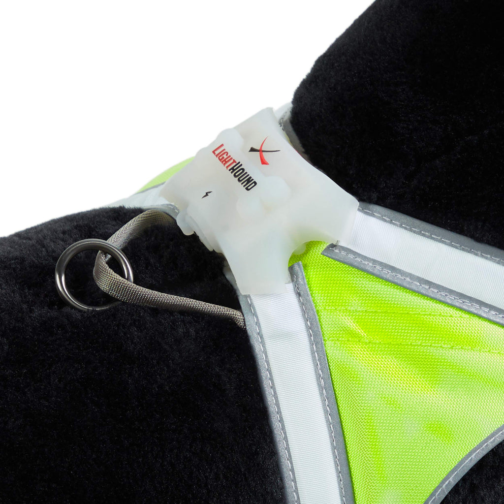 Noxgear LightHound Illuminated Reflective Dog Harness